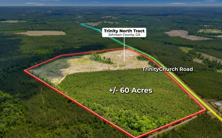 Pictures of Land property located at TRINITY CHURCH RD, ADRIAN, GA 31002 for sales - image #1