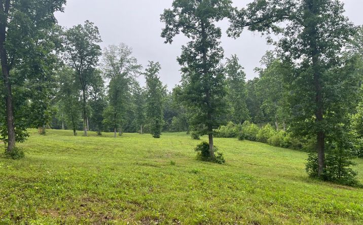 Pictures of Land, Multifamily property located at Mitchell Lane, Paris, TN 38242 for sales - image #1