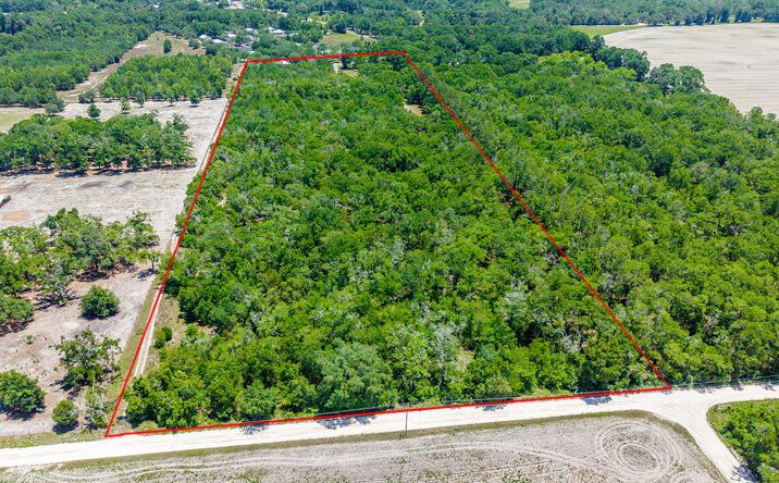 Pictures of Land property located at TBD NW 40th Ave, Bell, FL 32619 for sales - image #1