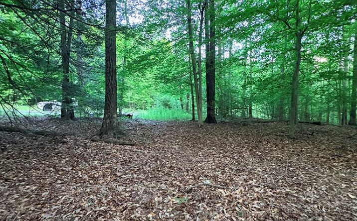 Pictures of Land, Multifamily property located at Ledgeview Dr, Fayetteville, WV 25840 for sales - image #1