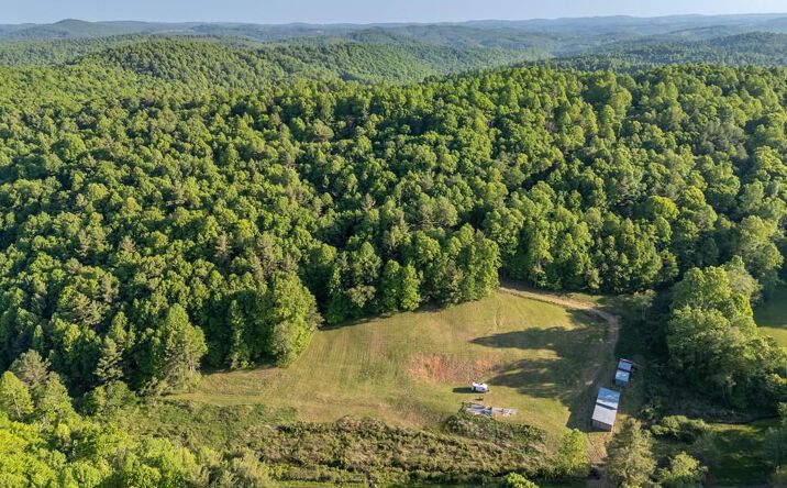 Pictures of Land, Multifamily property located at 65 ac Dugspur Rd, Dugspur, VA 24325 for sales - image #1