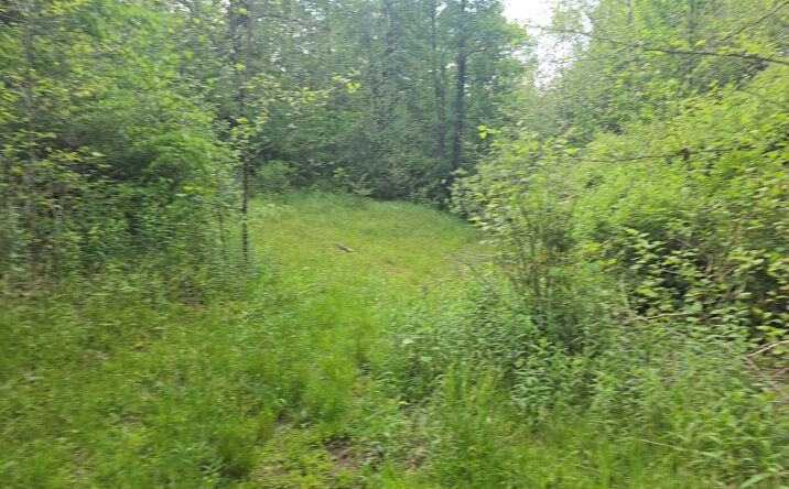 Pictures of Land property located at Toney Fork Road, Scarbro, WV 25917 for sales - image #1