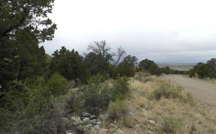 Pictures of Land property located at 915 Big Timber Overlook, Crestone, CO 81131 for sales - image #1