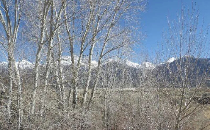 Pictures of Land property located at 531 Hazelwood Trail, Crestone, CO 81131 for sales - image #1