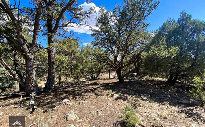 Pictures of Land property located at 407 Chaparral Way, Crestone, CO 81131 for sales - image #1