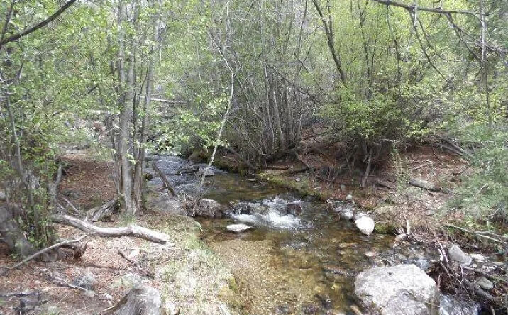 Pictures of Land property located at 4186 Caprice Way, Crestone, CO 81131 for sales - image #1