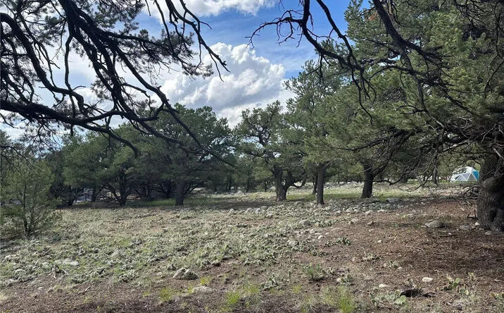 Pictures of Land property located at 3694 Enchanted Way, Crestone, CO 81131 for sales - image #1
