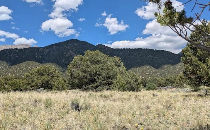 Pictures of Land property located at 3213 Enchanted Court, Crestone, CO 81131 for sales - image #1