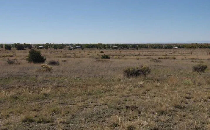 1474 Fawn Trail, Crestone