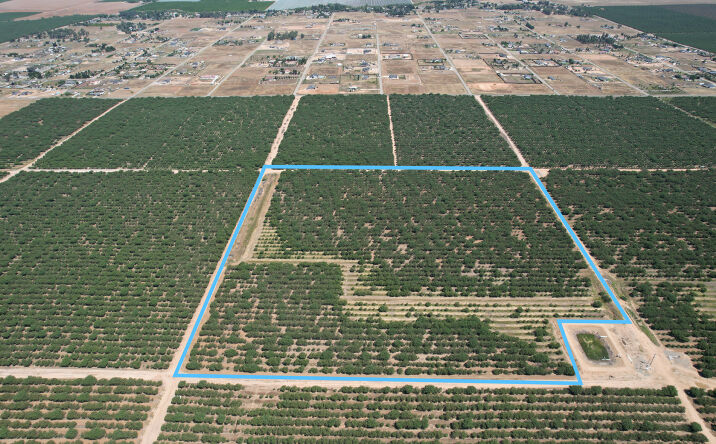 Pictures of Land property located at Ave 20 1/2, Madera, CA 93638 for sales - image #1