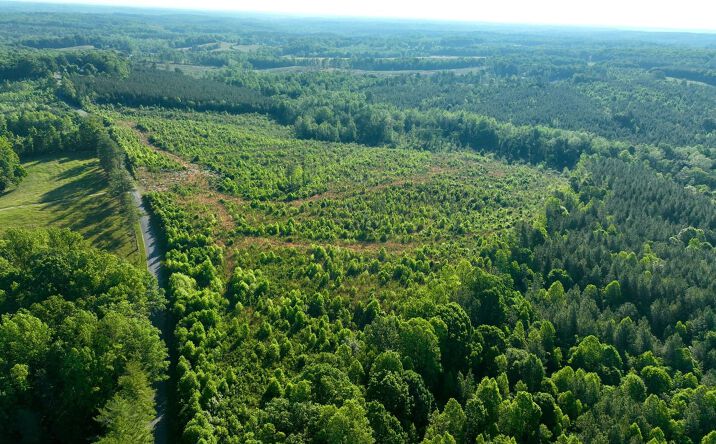 Pictures of Land property located at 0 Mt Tabor Road, Keeling, VA 24566 for sales - image #1