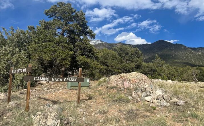 Pictures of Land property located at 1794 Willow Creek Way, Crestone, CO 81131 for sales - image #1