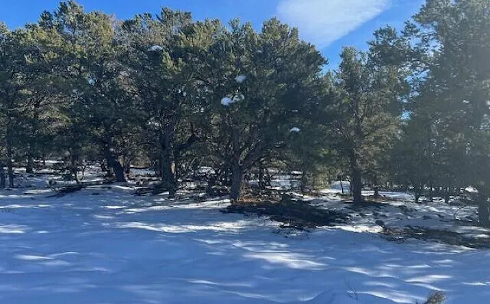 Pictures of Land property located at 3952 Cheerful Ct, Crestone, CO 81131 for sales - image #1