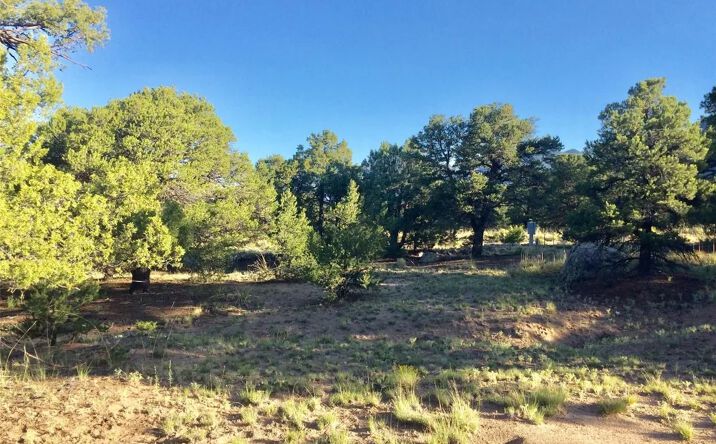 Pictures of Land property located at 3514 Forest Trail Overlook, Crestone, CO 81131 for sales - image #1