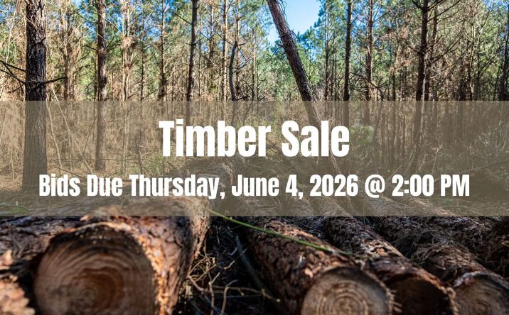 Pictures of Land property located at Timbersale, Lewisville, AR 71845 for sales - image #1
