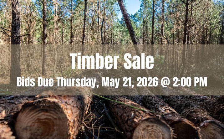 Pictures of Land property located at Timbersale, Ashdown, AR 71822 for sales - image #1