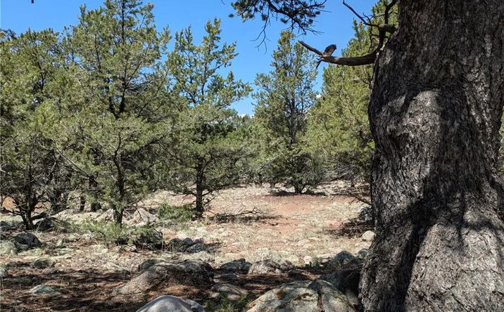 Pictures of Land property located at 3729 Enchanted Way, Crestone, CO 81131 for sales - image #1
