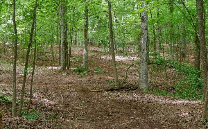 Pictures of Land property located at 240 Marshall Road, 26882, GA 30625 for sales - image #1