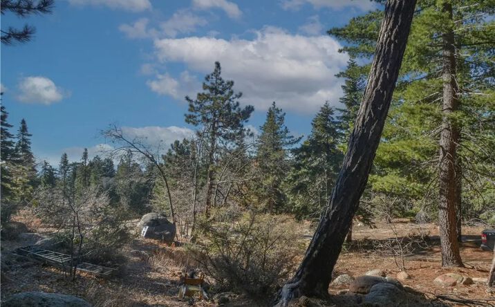 Pictures of Land property located at Cobblestone, Running Springs, CA 92382 for sales - image #1