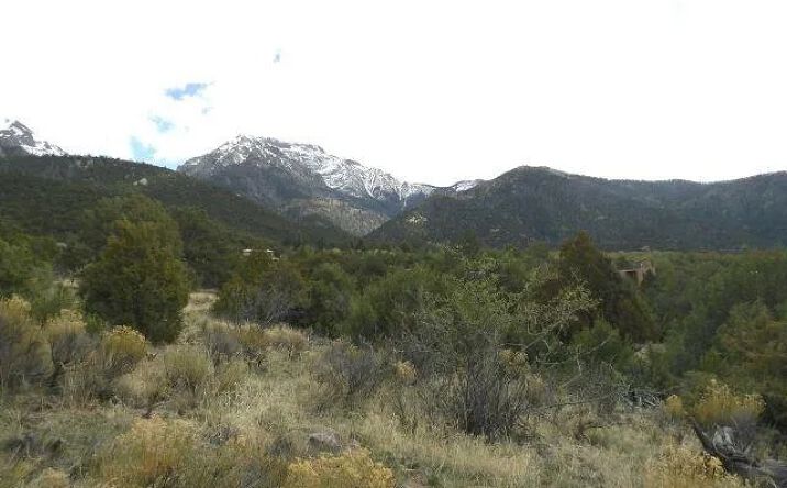 Pictures of Land property located at 918 Pine Cone Way, Crestone, CO 81131 for sales - image #1