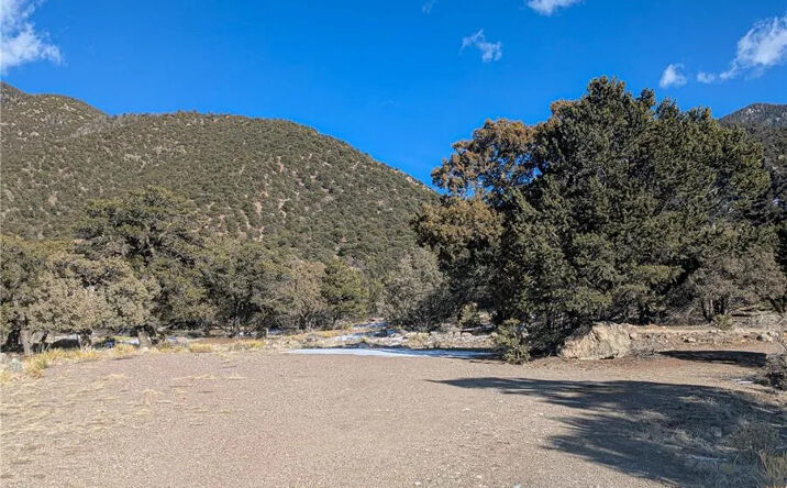 Pictures of Land property located at 4229 Radiant, Crestone, CO 81131 for sales - image #1