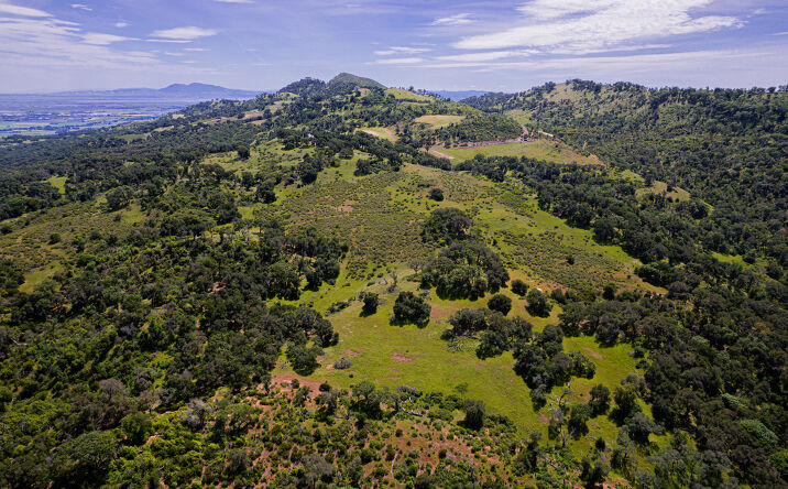 Pictures of Retail, Land property located at Wild Horse Valley Road, Napa, CA 94558 for sales - image #1