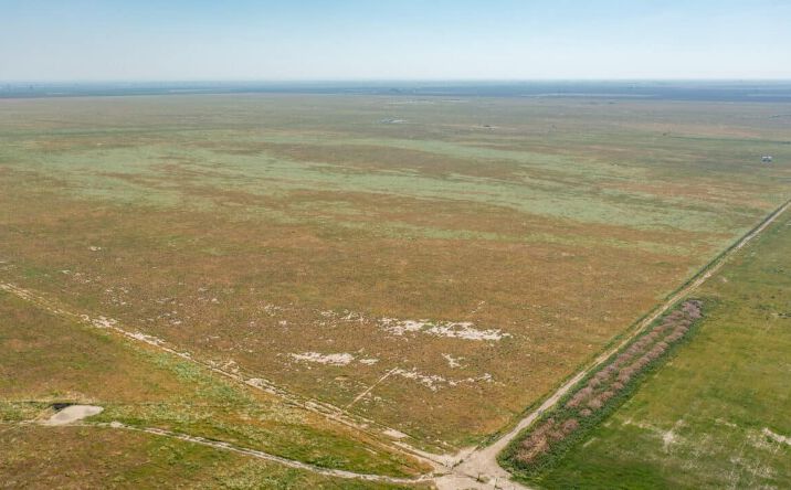 Pictures of Land property located at Avenue 24 & Road 128, Earlimart, CA 93215 for sales - image #1