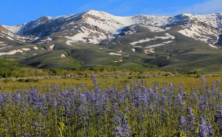 Pictures of Land property located at Northfork Ranch, Elko, NV 80475 for sales - image #1