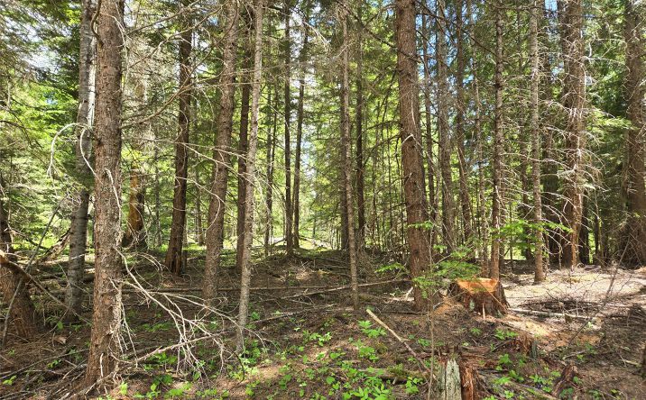 Pictures of Land property located at Lot A-4 Elk Heights Lane, HERON, MT 59844 for sales - image #1