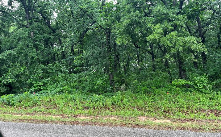 Pictures of Land property located at 13 Eddie Road, Kingston, OK 73439 for sales - image #1