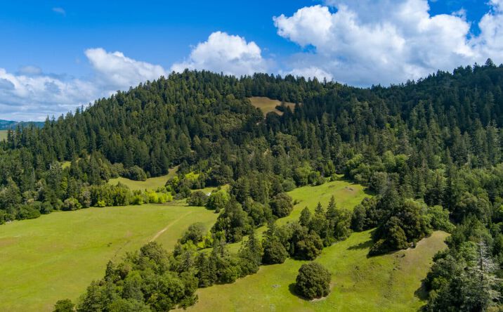 Pictures of Land property located at 00 Reed Mountain Ranch Road, Garberville, CA 93286 for sales - image #1