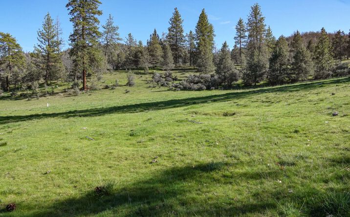 Pictures of Land property located at 000 Scarface Rd, Fort Jones, CA 96097 for sales - image #1