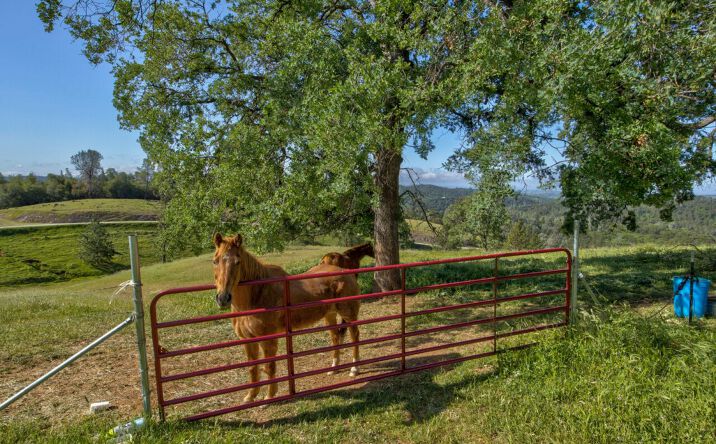 Pictures of Land property located at Trembath Mountain Road, Fiddletown, CA 95864-5232 for sales - image #1
