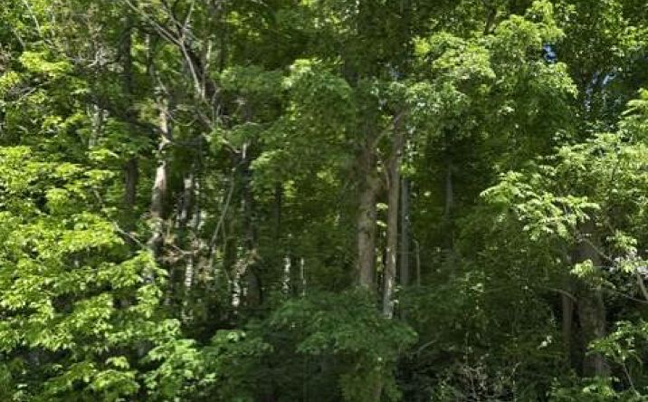 Pictures of Land property located at 487 Sprout Brook Road, Garrison, NY 10524 for sales - image #1