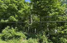 32828350