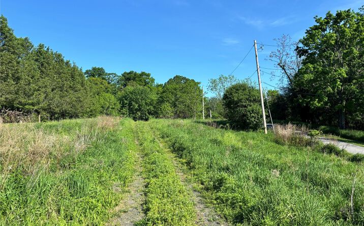 Pictures of Land property located at South Plank Road, Westtown, NY 10998 for sales - image #1