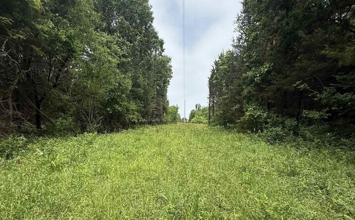 Pictures of Land, Special Purpose property located at 51.4+/-acres SE 1100, Deepwater, MO 64740 for sales - image #1