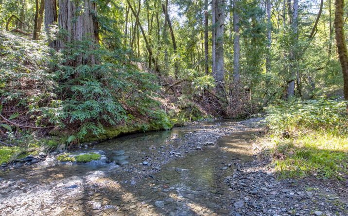 Pictures of Land property located at 24301 King Ridge Rd., Cazadero, CA 95421-9543 for sales - image #1