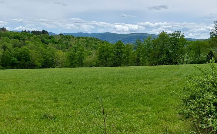 Pictures of Land property located at Tbd Upper Dingle Hill Road, Andes, NY 13731 for sales - image #1