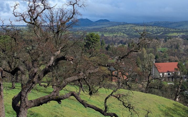 Pictures of Land property located at 0000 Knob Hill Pl., Red Bluff, CA 94109 for sales - image #1