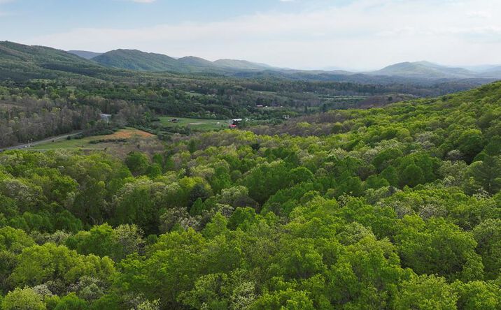 Pictures of Land property located at UC001 Sam Snead Highway, Warm Springs, VA 24484 for sales - image #1