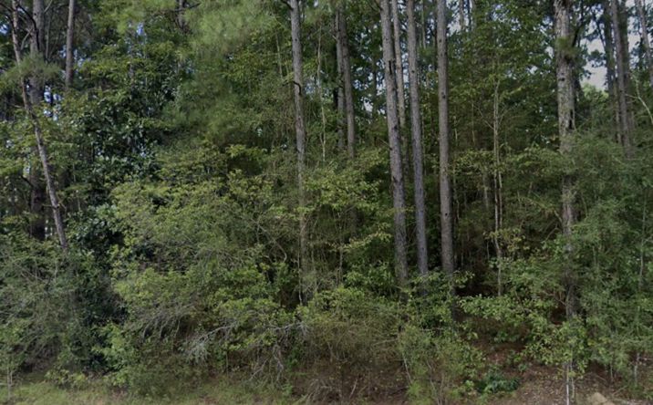 Pictures of Land property located at 996 HICKORY GROVE RD, LUMBERTON, MS 39455-9640 for sales - image #1