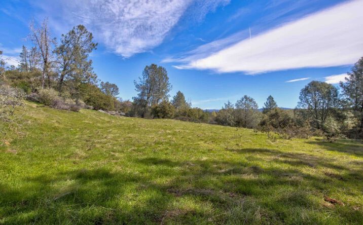 Pictures of Land property located at 18800 Charleston Road, Volcano, CA 95642-9642 for sales - image #1