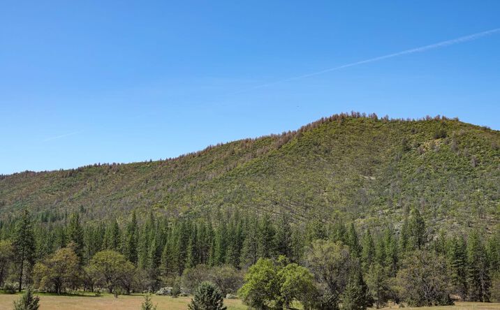Pictures of Land property located at 0 East Rd., Fort Jones, CA 01473 for sales - image #1