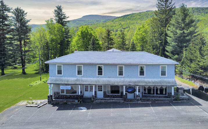Pictures of Retail, Multifamily, Mixed Use property located at 5085 New York 23A, Haines Falls, NY 12436 for sales - image #1
