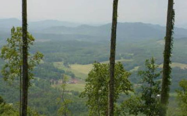 Brasstown Heights, Brasstown