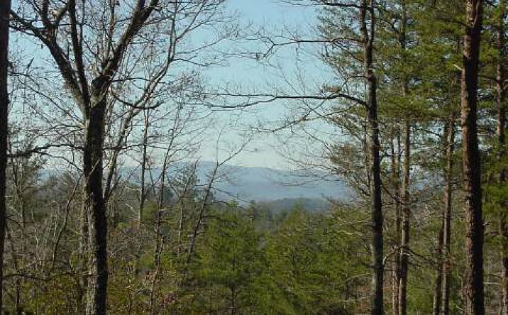 LOT 8 Eldridge Circle, Morganton