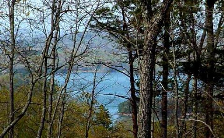 LT 9 Ridges Over The Lake, Blue Ridge