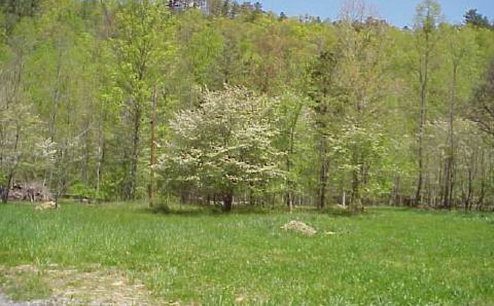 LOT Tusquittee Road, Hayesville