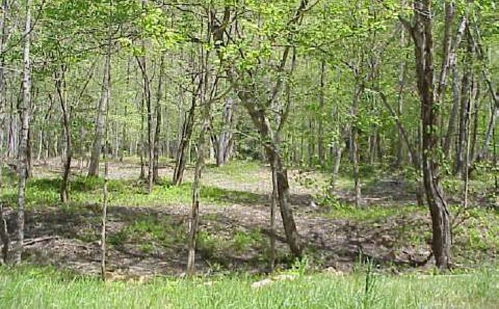 LOT 7 Tusquittee Road, Hayesville
